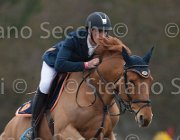 Philippaerts O Rebel TosTour 2013- S4 7028 : Arezzo Equestrian Centre, Philippaerts Olivier, Rebel de Boilly, Toscana Tour 2013, foto di Stefano Secchi ©